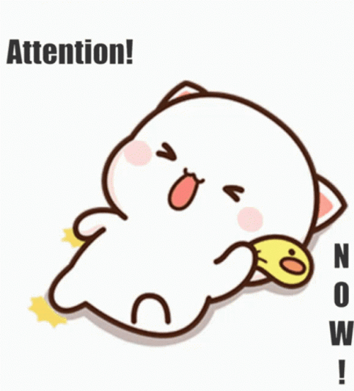 Milk Bear Wants Attention Now GIF