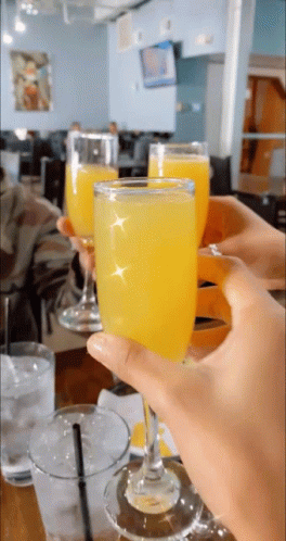 Mimosa Friends Cheers GIF