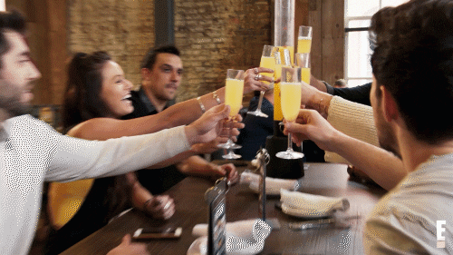 Mimosa Group Cheers GIF