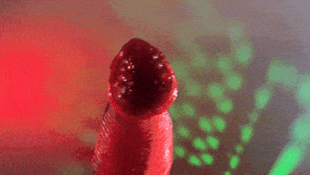 Mind Leech Worm GIF