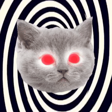 Mind Reader Cat Hypnotic Laser Eyes GIF