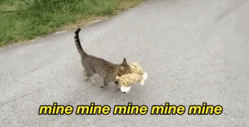 Cute Cat Taking Toy Mine GIF