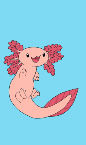 Minecraft Axolotl Cartoon GIF