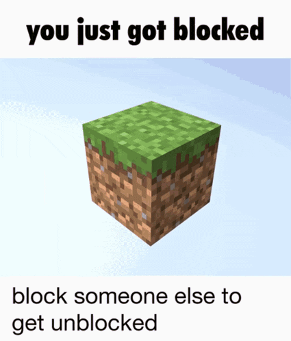 Minecraft Blocked Gif GIF