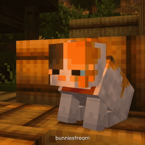 Minecraft Cat Bunnystream GIF