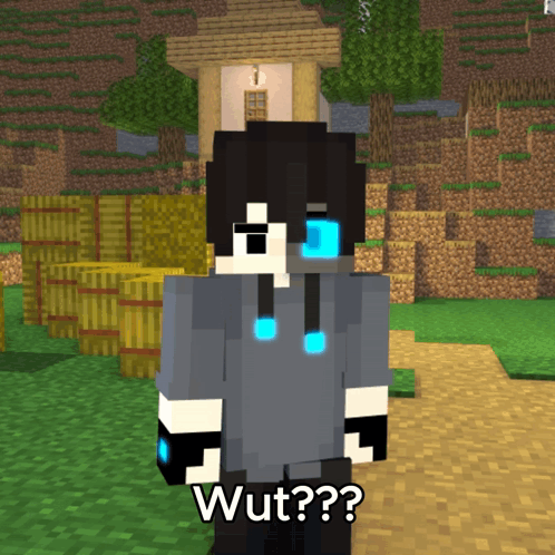Minecraft Character Saying Wut in Front of House