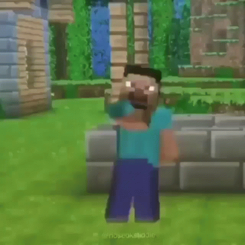 Minecraft Character Standing In Front Of A Block GIF