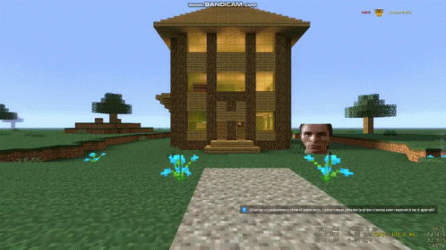 Minecraft Man's Face In Front Of Building GIF