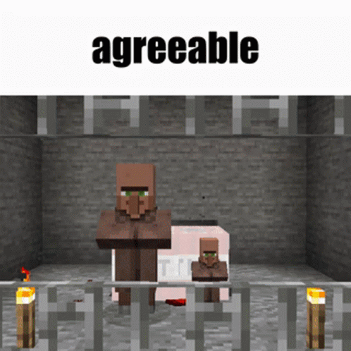 Minecraft Meme Agreeable GIF