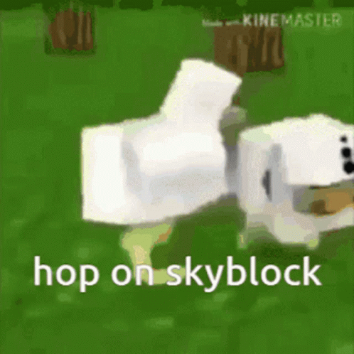Minecraft Meme Hop On Skyblock GIF