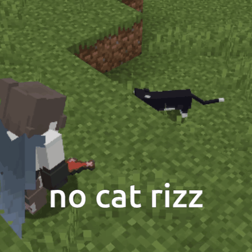 Minecraft Meme No Cat Rizz GIF