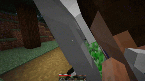 Minecraft Person Holding Sword And Green Plant GIF