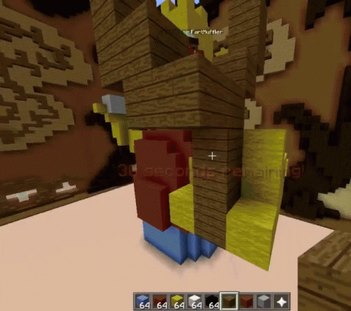 Minecraft Player Named Fartpuffer