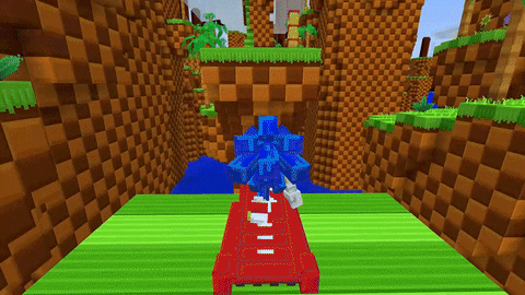 Minecraft Sonic The Hedgehog GIF