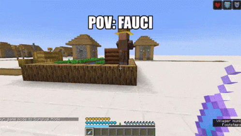 Minecraft Villager Fauci GIF