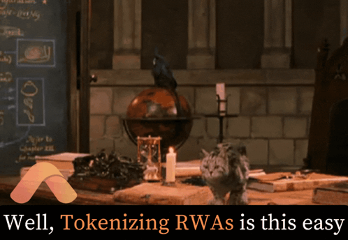 Minerva Mcgonagall Cat Transformation Meme GIF