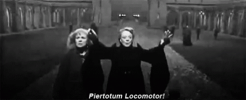 Minerva Mcgonagall Chanting Magic Words GIF