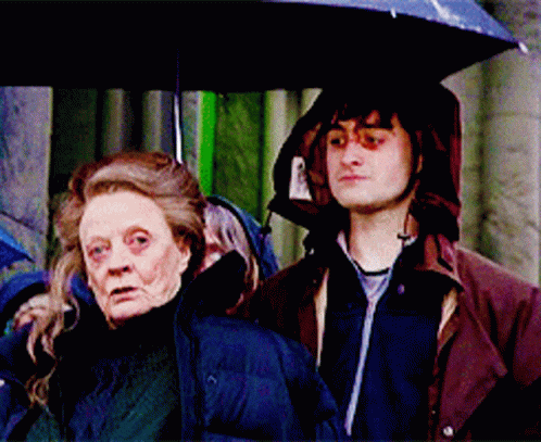 Minerva Mcgonagall Harry Potter Movie Scene GIF