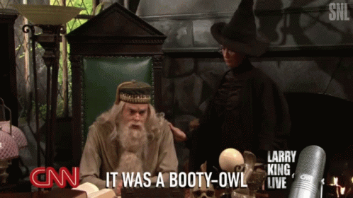Minerva Mcgonagall Professor Dumbledore Snl Parody GIF