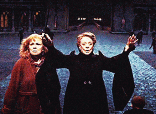 Minerva Mcgonagall Summoning Warriors Harry Potter GIF