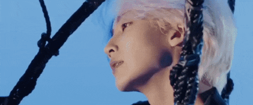 Mingyu Kim Mingyu Gif GIF