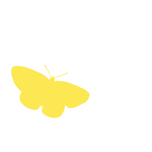 Minimal Yellow Butterfly Stickers GIF