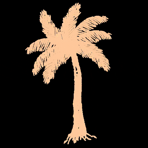 Minimalist Palm Tree Swinging Sideways GIF