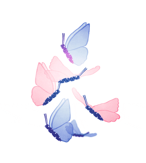 Minimalist Pastel Butterflies GIF