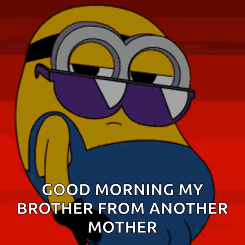Minion Sunglasses Good Morning My Brother From Another Mother