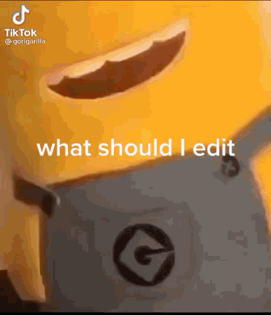 Minions What Should I Edit GIF