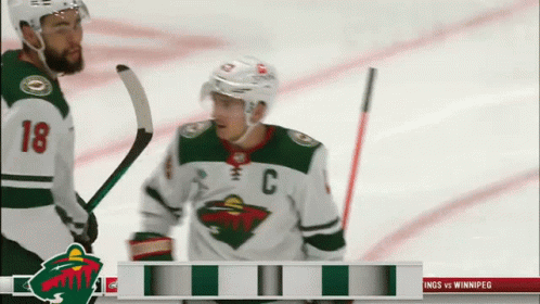 Minnesota Wild vs Winnipeg Kings Hockey Game
