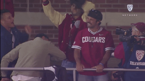 Minshew As An Audience GIF