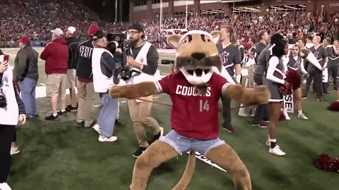 Minshew Tried Mascot Costume On GIF