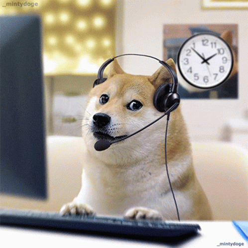 Mintydoge At Call Centre Work GIF