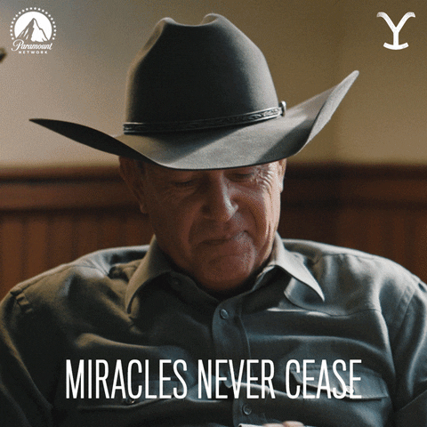 Miracles Never Cease Rip Yellowstone GIF
