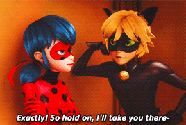 Miraculous Ladybug Cat Noir Falling GIF