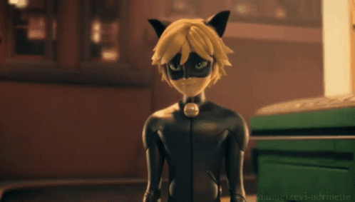 Miraculous Ladybug Cat Noir Hug GIF