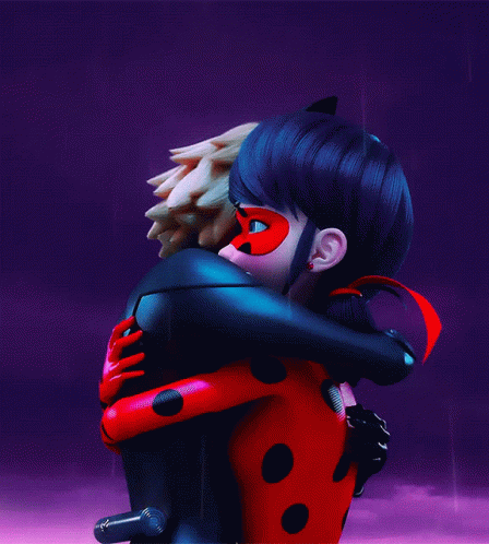 Miraculous Tales Of Ladybug And Catnoir Hug GIF