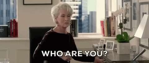 Miranda Priestly Who Are You GIF