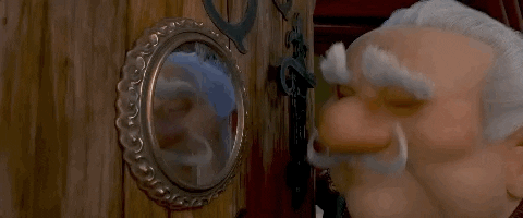 Professor Lavrof In The Mirror GIF