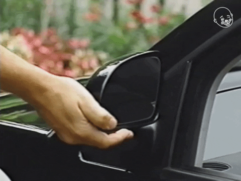 Doggo In Side Mirror GIF