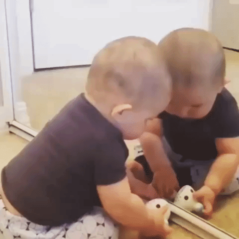 Baby Mirror Fight GIF