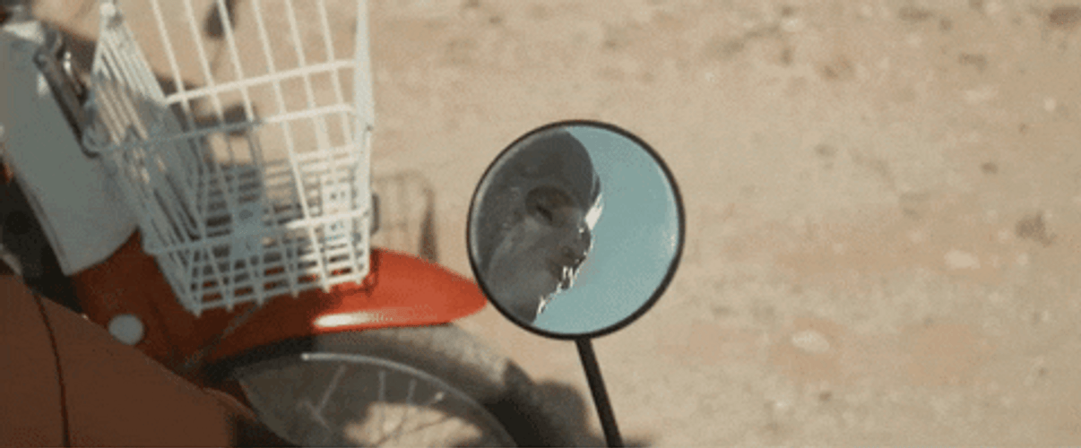Mirror GIF