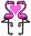 Mirrored Animated Flamingo GIF
