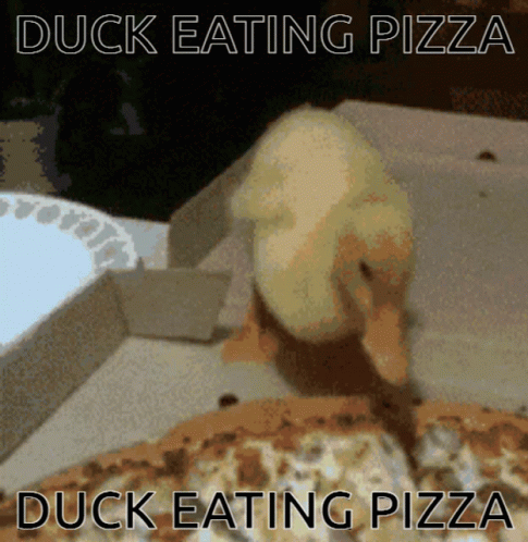 Mischievous Duck Eating Pizza Meme GIF