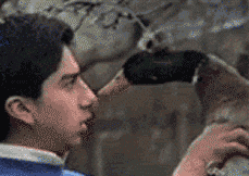 Mischievous Duck Pecking Nose Meme GIF