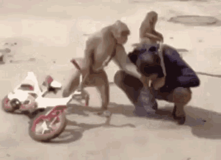 Mischievous Funny Monkey Kicking Human GIF