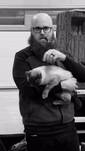 Mischievous Man Petting Cat GIF
