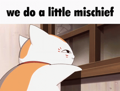 Mischievous We Do A Little Mischief Cat GIF