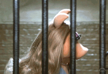Miss Piggy Jail Behind Bars GIF